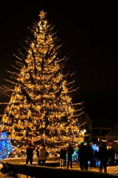 Гостевой дом Suri Guesthouse Брашов-26