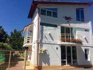 Гостевой дом Suri Guesthouse Брашов-2